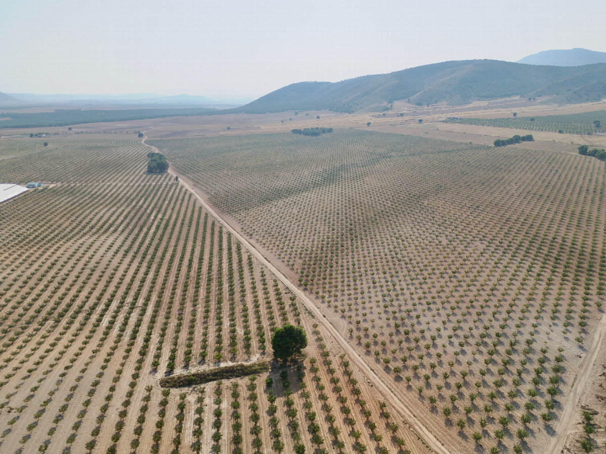 View West, from 120m above the point