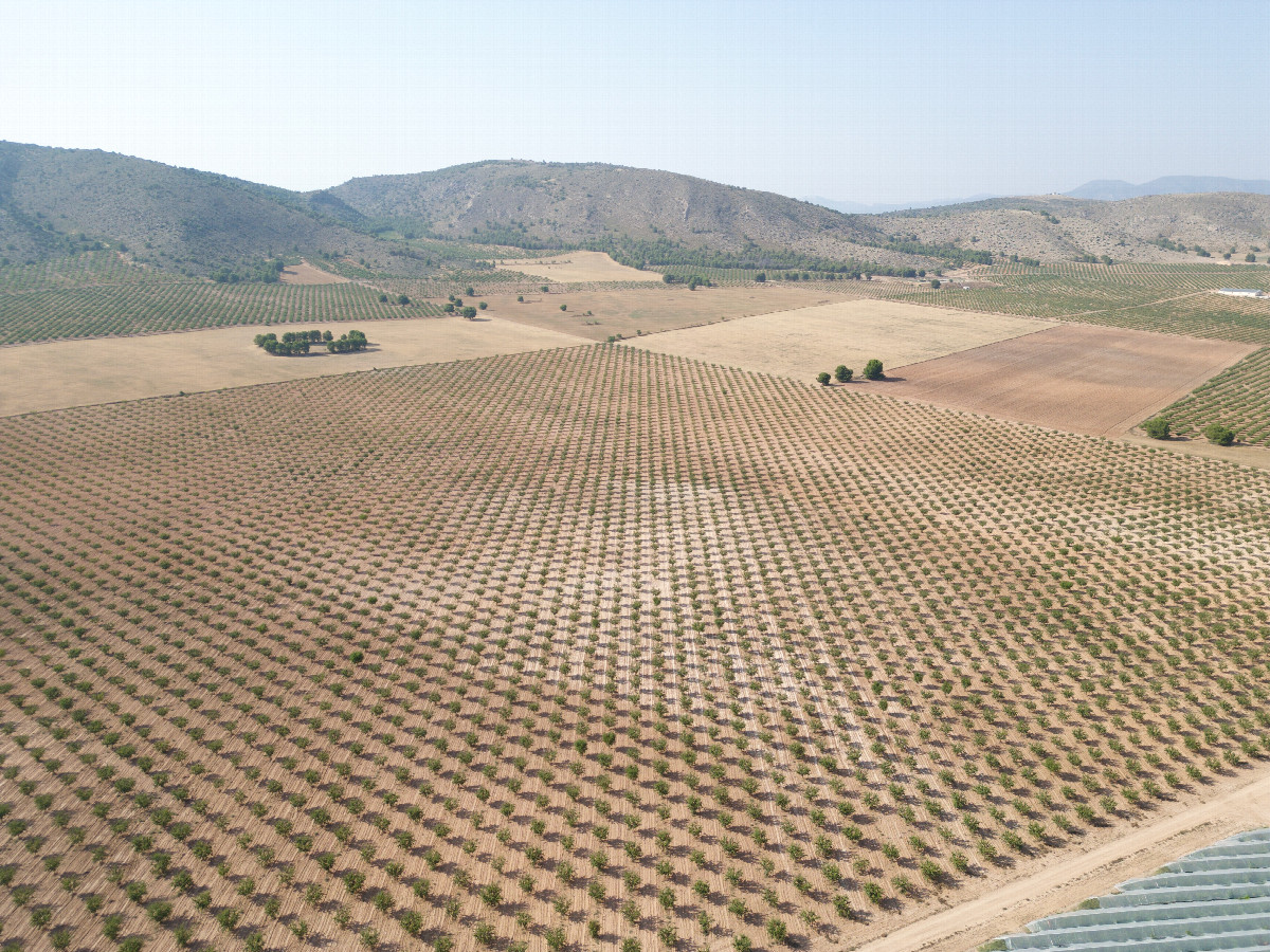View North, from 120m above the point