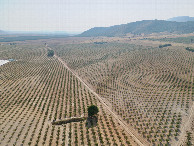 #11: View West, from 120m above the point