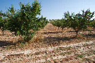 #3: View South