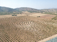 #8: View North, from 120m above the point