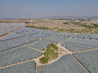 #9: View East, from 120m above the point