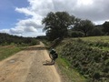 #9: Road at the Confluence