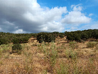 #2: Vista al norte
