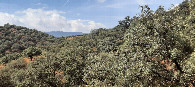 #5: Paisaje del lugar