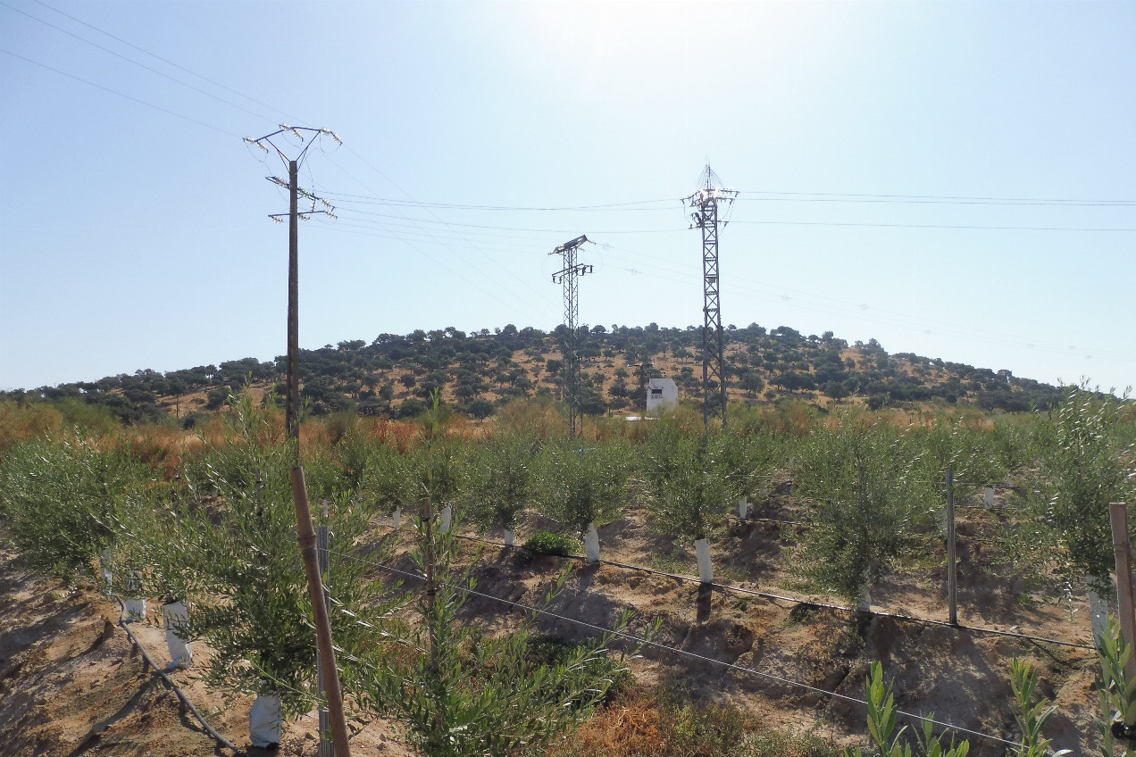View to the East / Este
