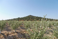 #2: View to the South / Sur