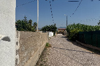 #2: View North (from 10m East of the confluence point)