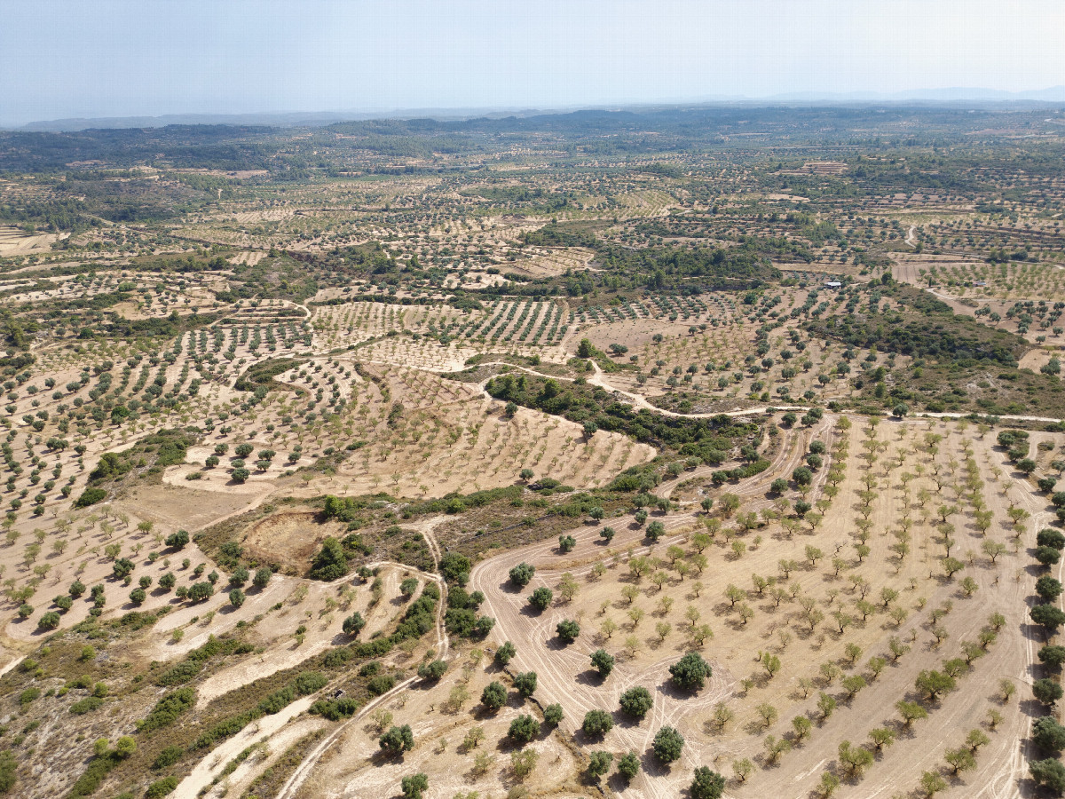 View South, from 120m above the point