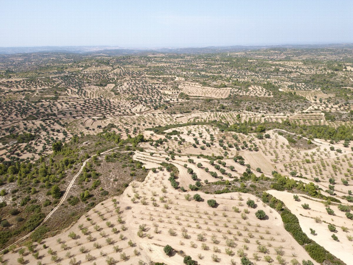 View North, from 120m above the point