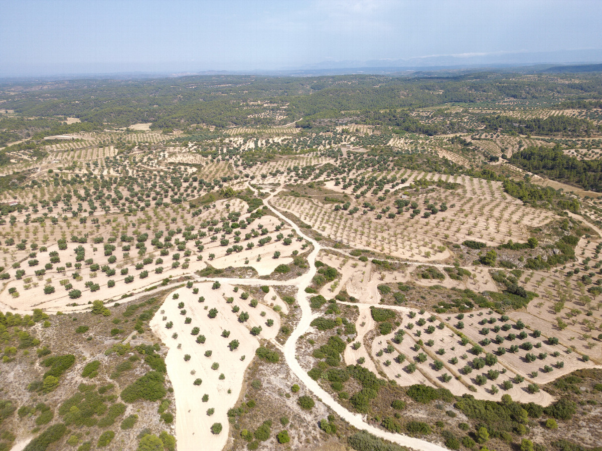 View East, from 120m above the point