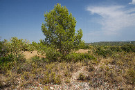 #2: View East