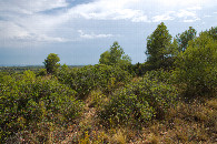 #3: View South