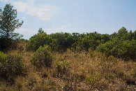 #4: View West
