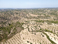 #8: View North, from 120m above the point