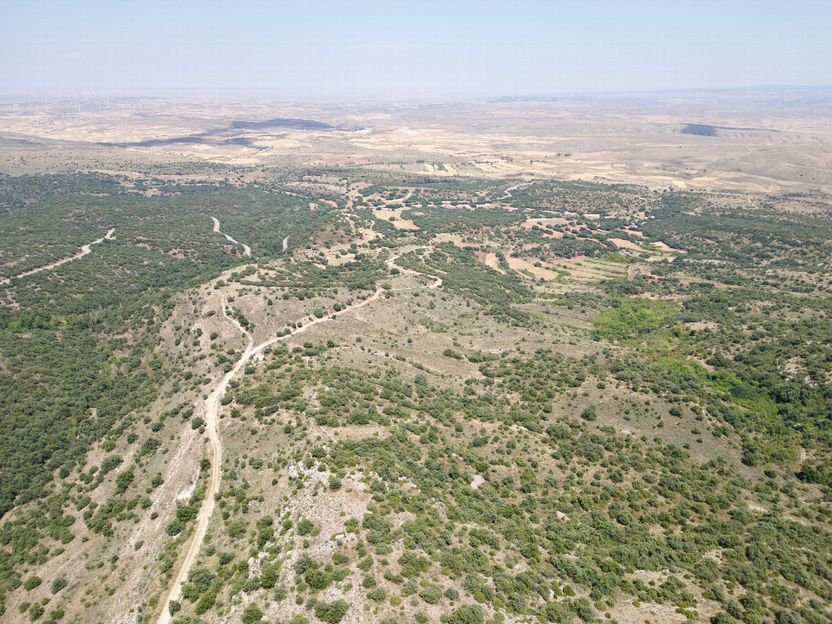 View North, from 120m above the point