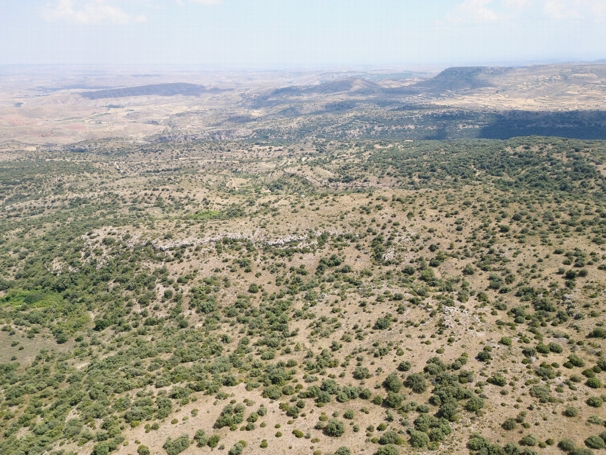 View East, from 120m above the point