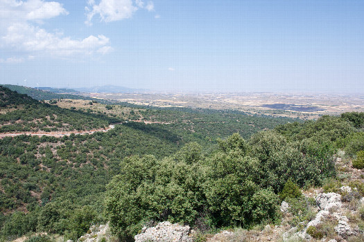 #1: The confluence point lies on the edge of a rocky, scrub-covered ridge.  (This is also a view to the North.)