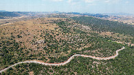 #11: View West, from 120m above the point