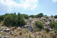 #3: View South