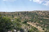 #4: View West