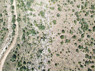 #7: Looking down on the point from a height of 120m