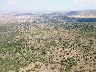 #9: View East, from 120m above the point