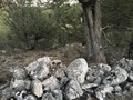 #10: The nearby stone wall