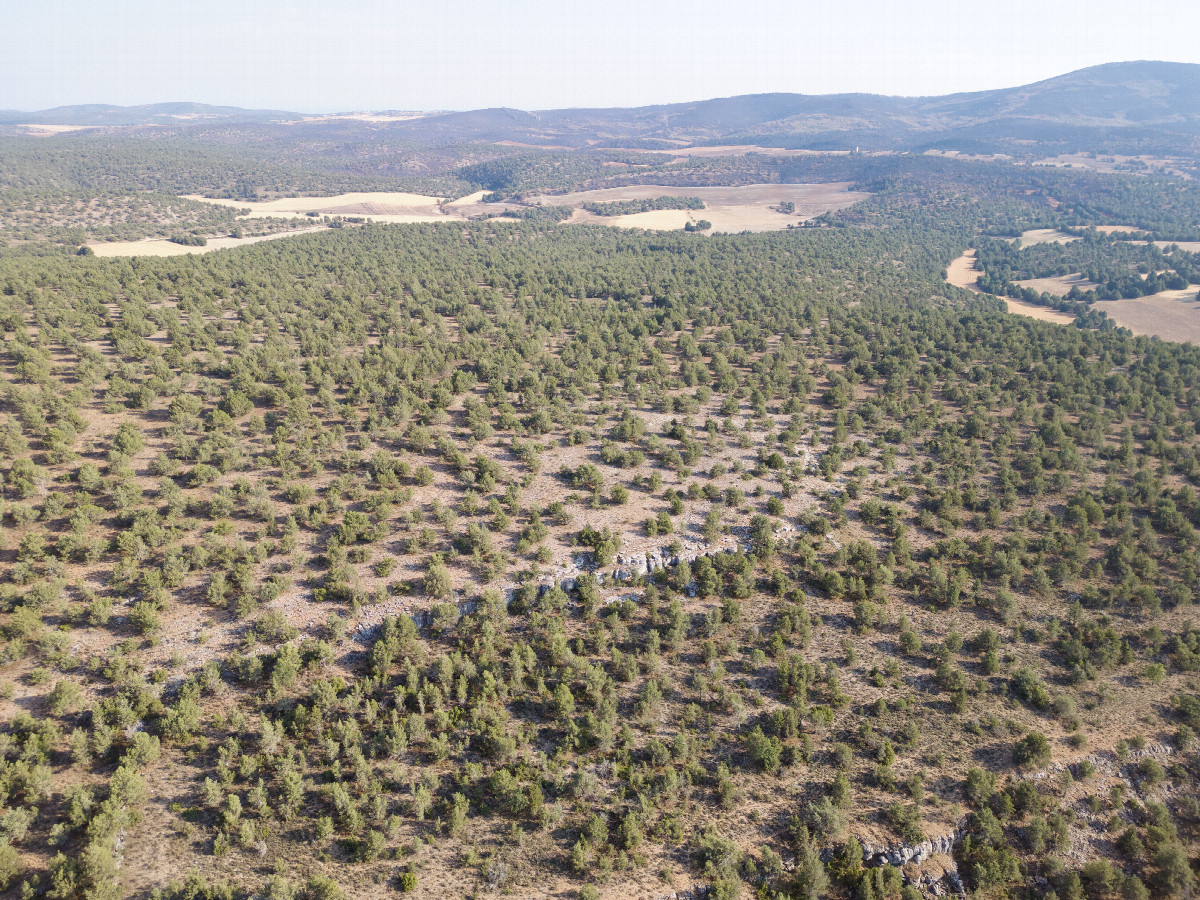 View South, from 120m above the point