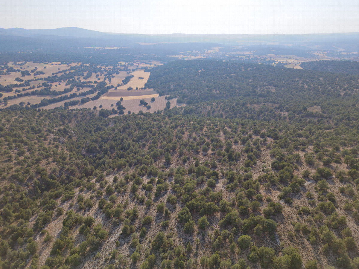 View West, from 120m above the point