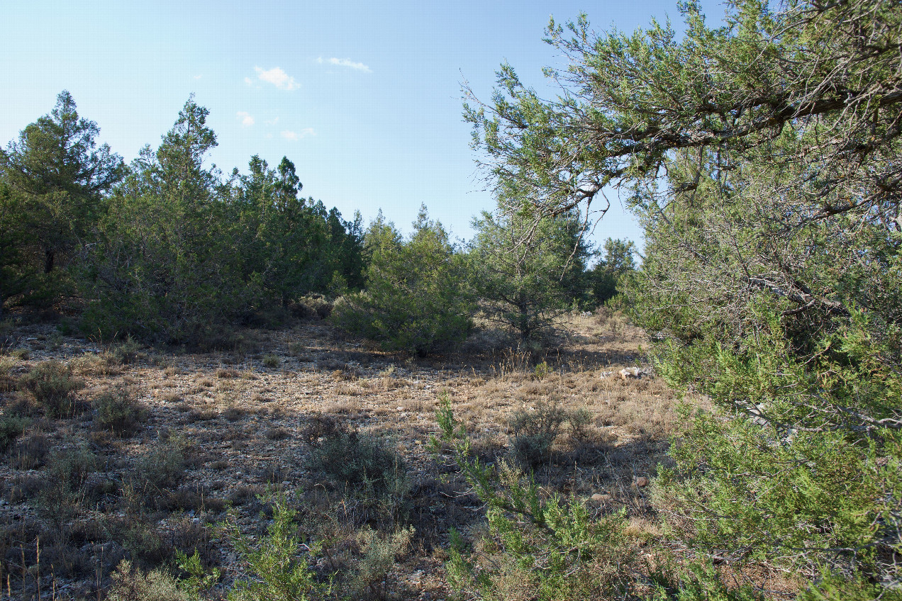 View North