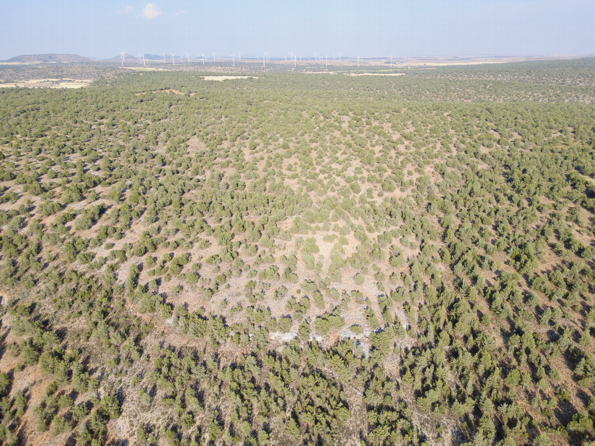 View East, from 120m above the point