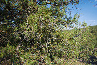 #3: View East