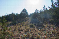 #4: View West