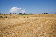 #2: View East
