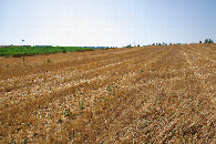 #4: View West