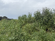 #4: View to the  North