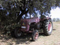 #4: Old tractor parked at the edge of the field