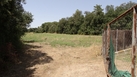 #7: Beginning of the fields with gate at the right side