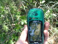 #6: GPS (Bajo los Pinos-  Under branches of Pine trees)
