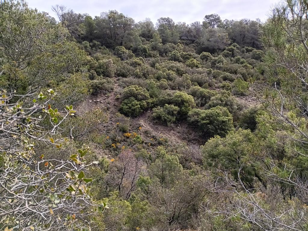 Osten; view east