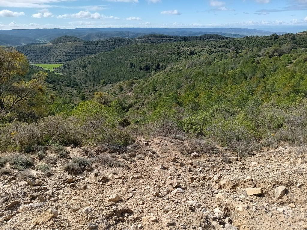 towards CP from road, distance 120 meters