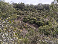 #2: Osten; view east