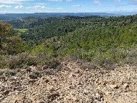 #8: towards CP from road, distance 120 meters