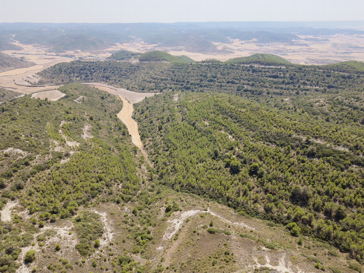 View South, from 120m above the point