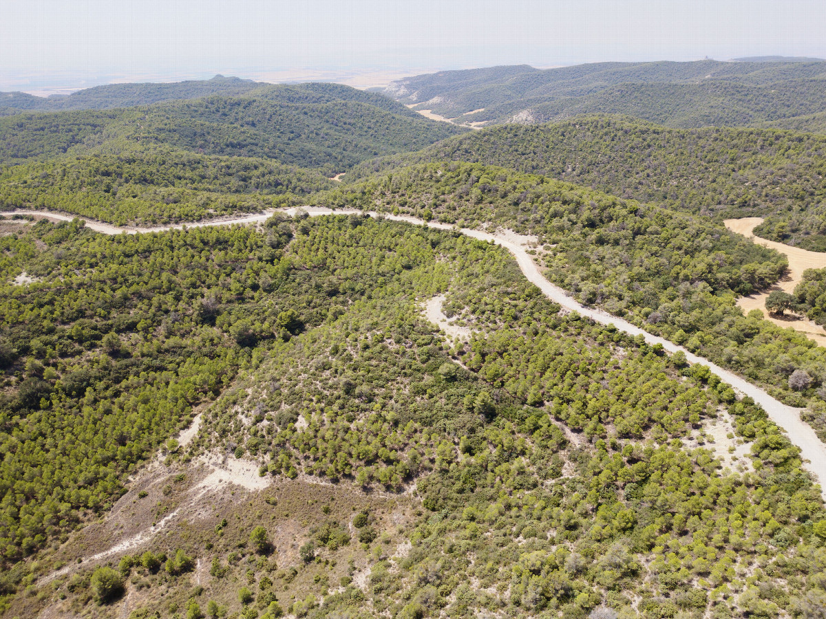 View West, from 120m above the point
