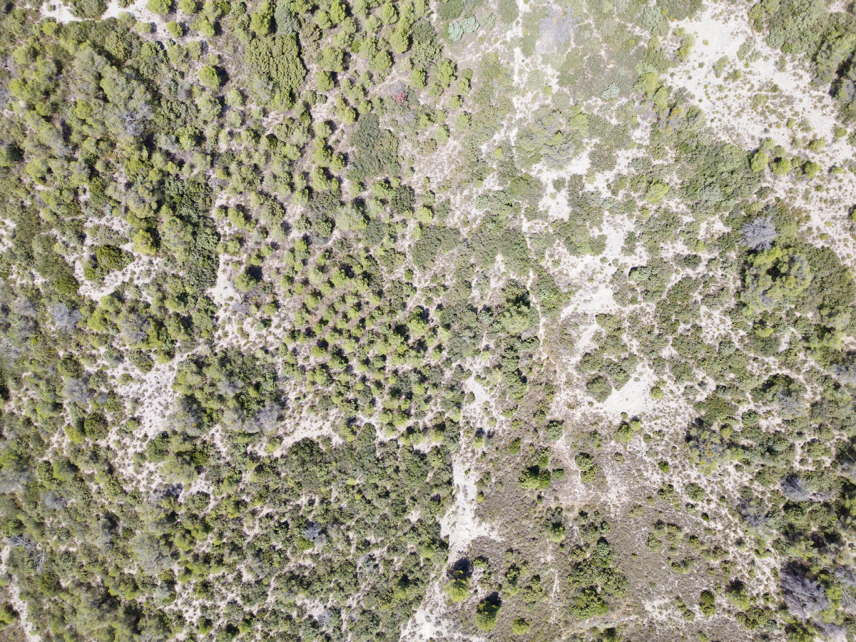Looking down on the point from a height of 120m