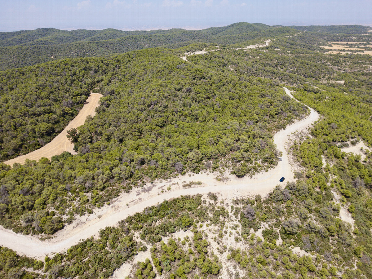 View North (across the access road), from 120m above the point