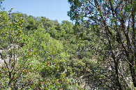 #2: View East