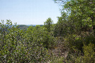 #3: View South